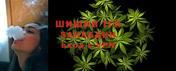 сатива Аркадак