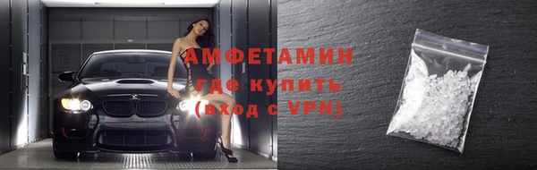 сатива Аркадак