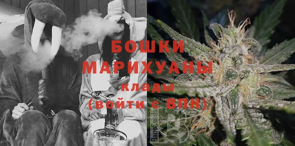 сатива Аркадак