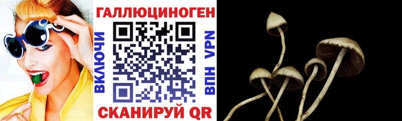 где продают наркотики  Сертолово  Галлюциногенные грибы прущие грибы 
